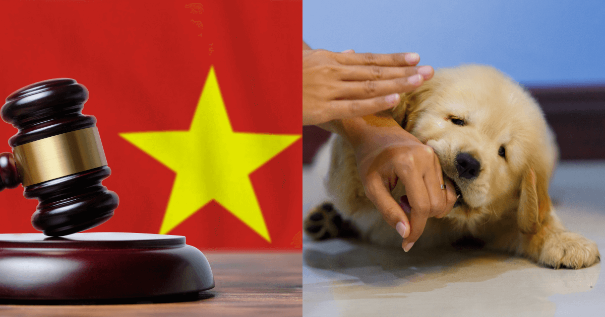 66yearold man gets 16year sentence for killing suspected dog thief